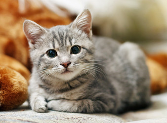 Similar image 8225931