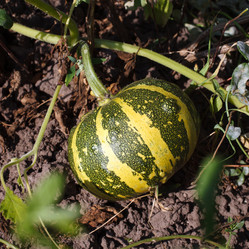 Similar image 8225949