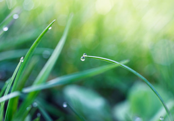 Similar image 8225956