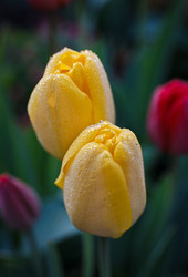 Similar image 8225958