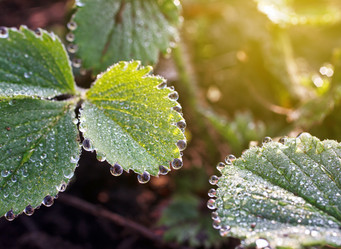 Similar image 8225959