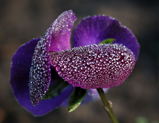 Similar image 8225960