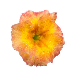 Similar image 8225969