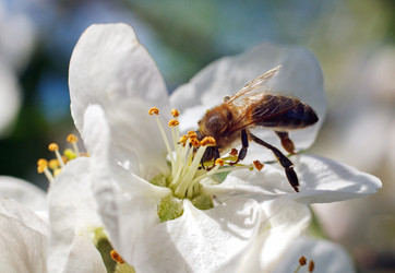 Similar image 8226005