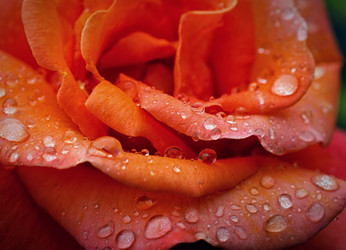 Similar image 8226009