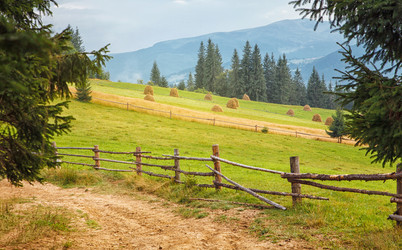 Similar image 8226014