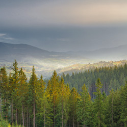 Similar image 8226015