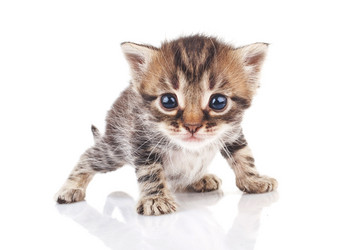 Similar image 8226054