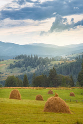 Similar image 8226060