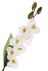 Similar image 8226062