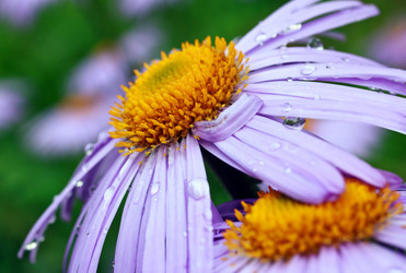 Similar image 8226063