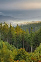 Similar image 8226077