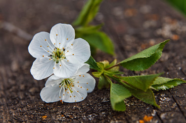 Similar image 8226126