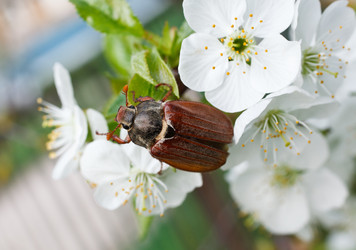 Similar image 8226139