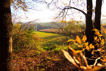 Similar image 8226230