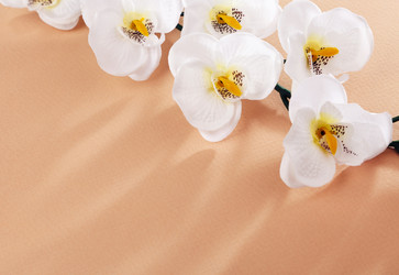 Similar image 8226240