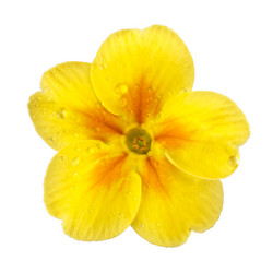 Similar image 8226251