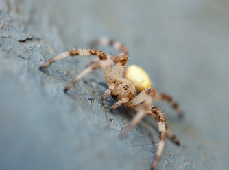 Similar image 8226254