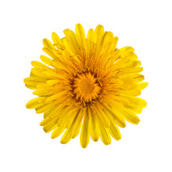 Similar image 8226255