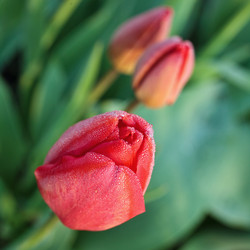 Similar image 8226257