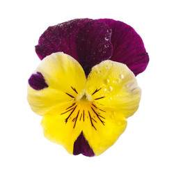 Similar image 8226268