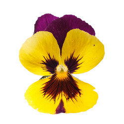 Similar image 8226278