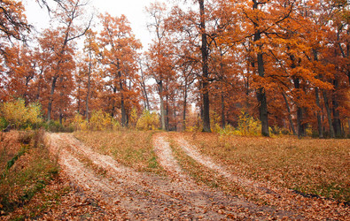 Similar image 8226298