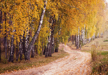 Similar image 8226299