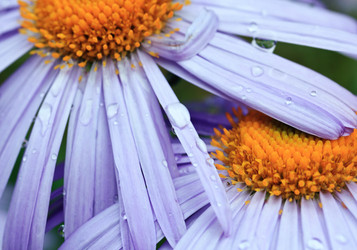 Similar image 8226308