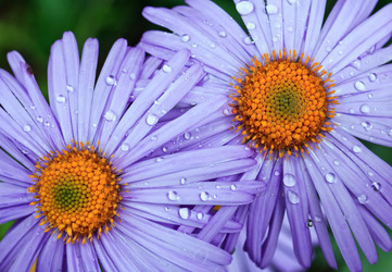 Similar image 8226313