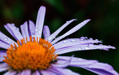 Similar image 8226319