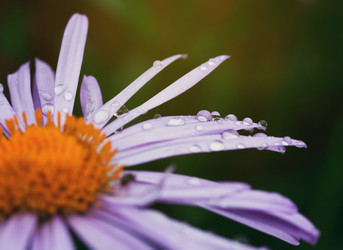 Similar image 8226320