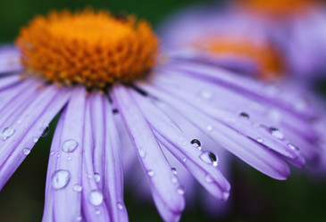 Similar image 8226322