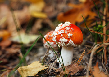 Similar image 8226324