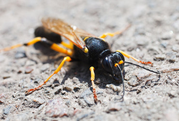 Similar image 8226339