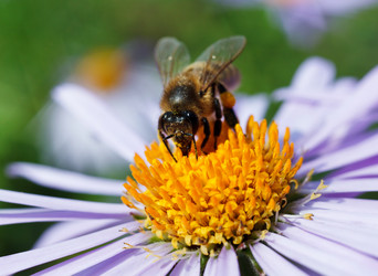 Similar image 8226341