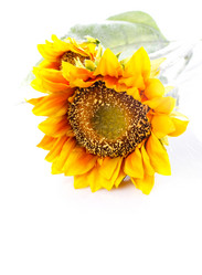 Similar image 8226342