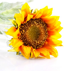 Similar image 8226343