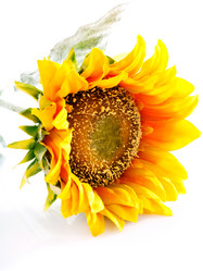 Similar image 8226344