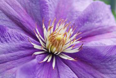 Similar image 8226345