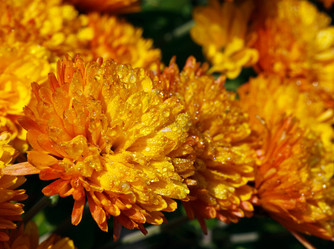 Similar image 8226349