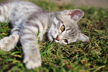 Similar image 8226369