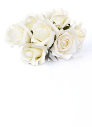 Similar image 8226375