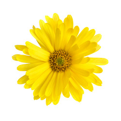 Similar image 8226397