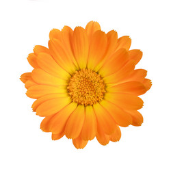 Similar image 8226433