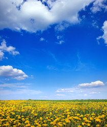 Similar image 8226469