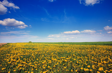 Similar image 8226471