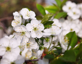 Similar image 8226473