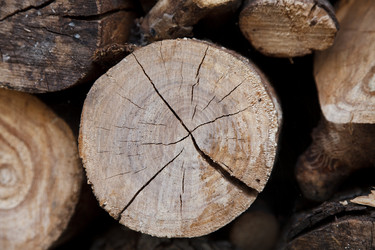 Similar image 8226474