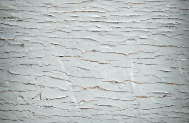 Similar image 8226483